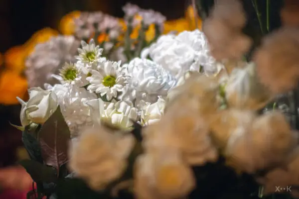 IMG_0474 IMG_0474